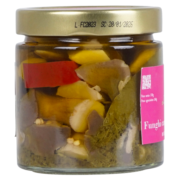 Funghi Cardoncelli di Puglia - immagine 3